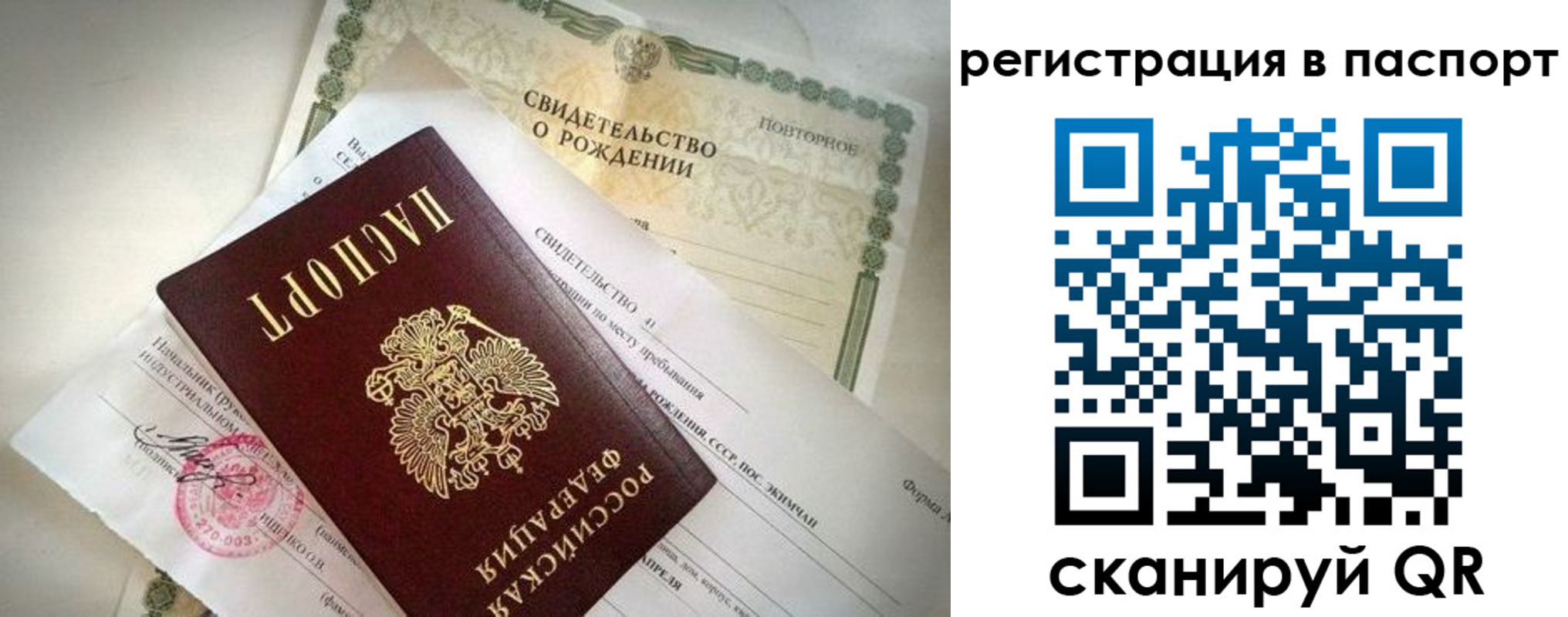 прописка гарантия в Березниках